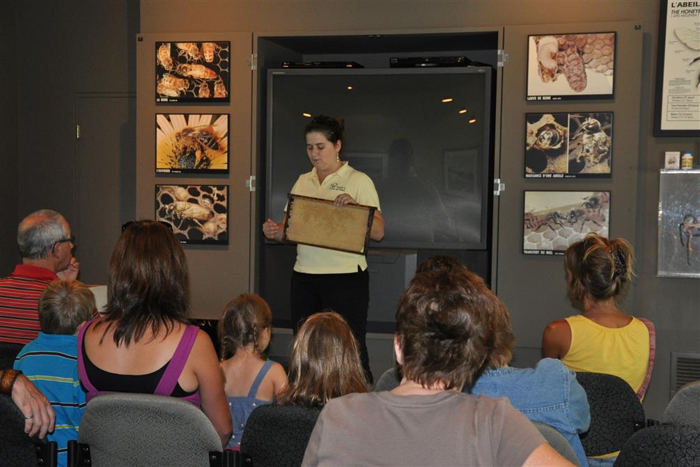 Exposé sur les abeilles (&copy;Miellerie Lune de Miel)