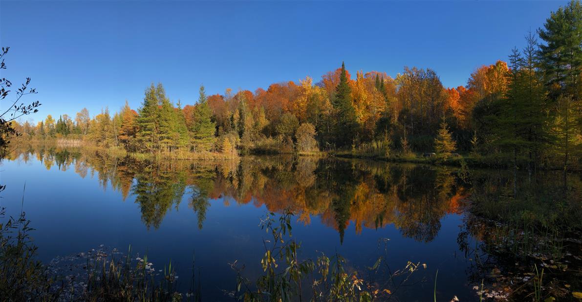 Étang privé du Domaine l'automne (&copy;Jolivent)