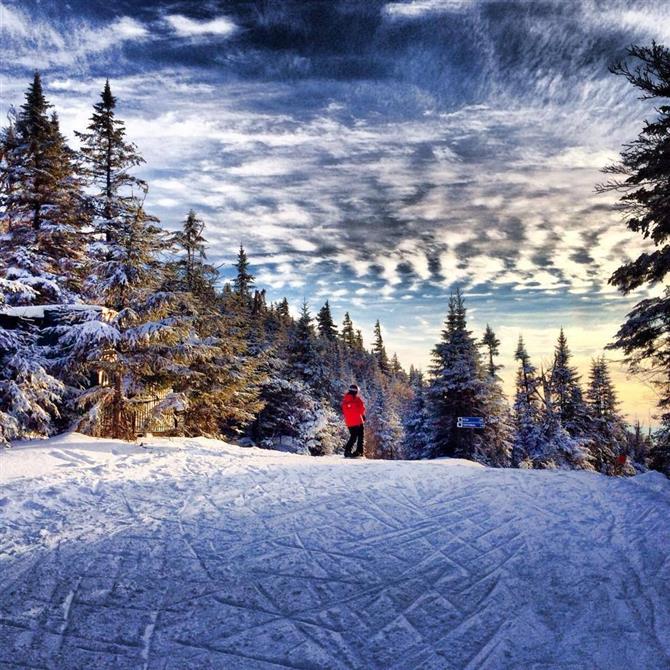 Owl's Head (&copy;Owl's Head)