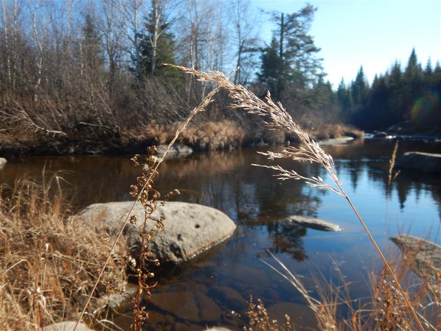 Rivière (&copy;Aux Tipis de la Rivière Sauvage)