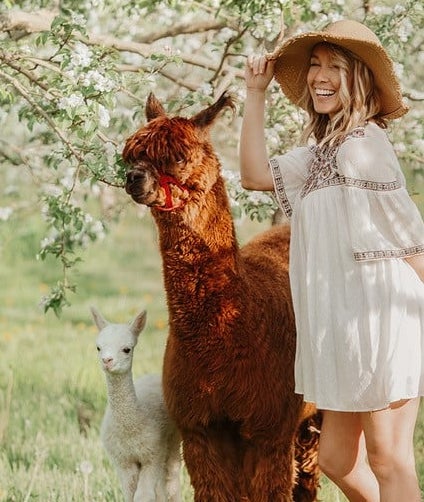 Verger Champêtre (&copy;Verger Champêtre - Gîte & Compagnie)