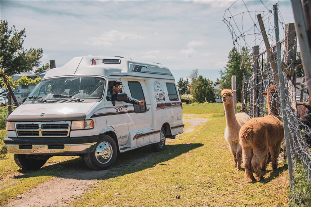 Van aménagée avec Alpaca (&copy;Bromont Campervan)