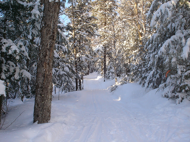 Randonnée (&copy;Plein air Sutton - MTB)