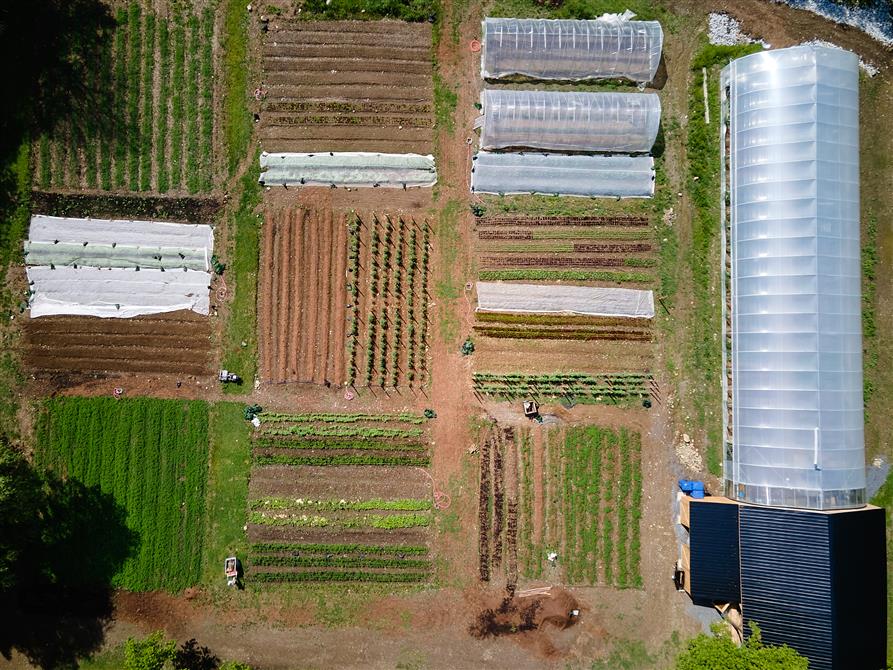 Potager (&copy;Espace Old Mill)